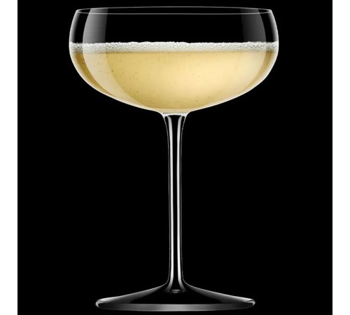 Бокал для шампанского Luigi Bormioli Talismano Old Martini
