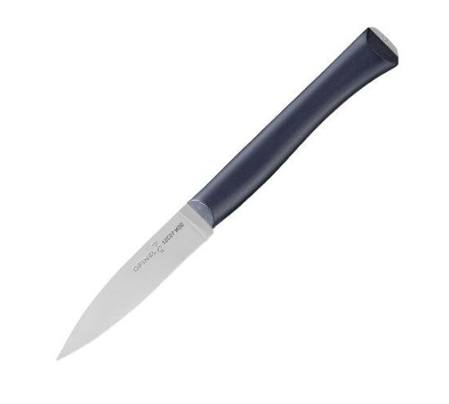 Нож столовый Opinel, Newintempor, пластиковая ручка, нерж, сталь. 002223