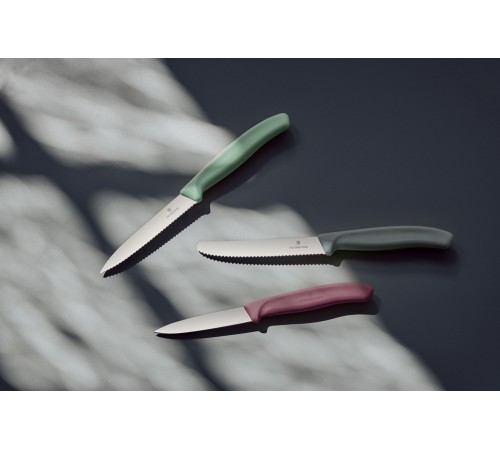 Набор из 3 ножей для овощей и фруктов VICTORINOX Swiss Classic Fresh Energy, в картонном блистере