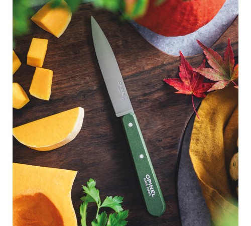 Нож столовый Opinel №112, деревянная рукоять, блистер, нержавеющая сталь, темно-зеленый 003118