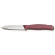 Набор из 3 ножей для овощей и фруктов VICTORINOX Swiss Classic Fresh Energy, в картонном блистере