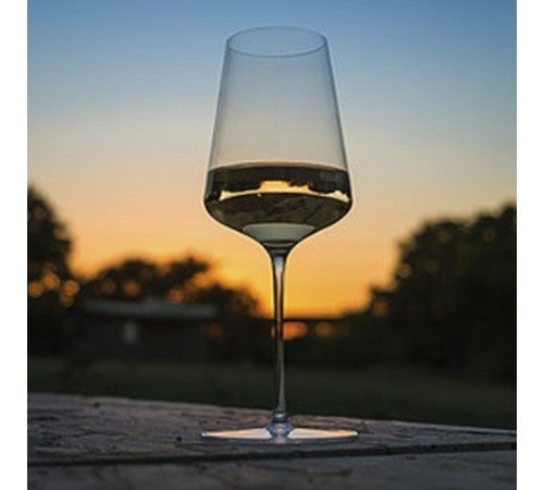 Набор Бокалов для вина Sophienwald Phoenix White wine 6шт.
