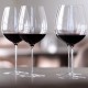 Бокалы для красных терруарных вин Sydonios le Meridional 2шт.