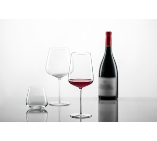 Бокал для воды Schott Zwiesel Old Fashion Vervino