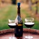 Хранитель открытого вина Repour Winesaver 4шт.