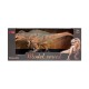 Игрушка динозавр MASAI MARA MM206-013 серии 