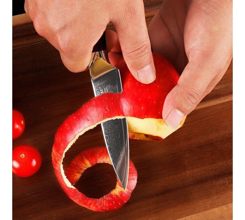 Нож из дамасской стали для овощей Keemake 3,5 Inch Paring Knife, бежевый
