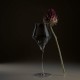 Бокалы Josephine №4 Champagne 2 шт.