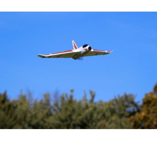 Самолет E-Flite Delta Ray One 500мм с технологией SAFE, электро, RTF