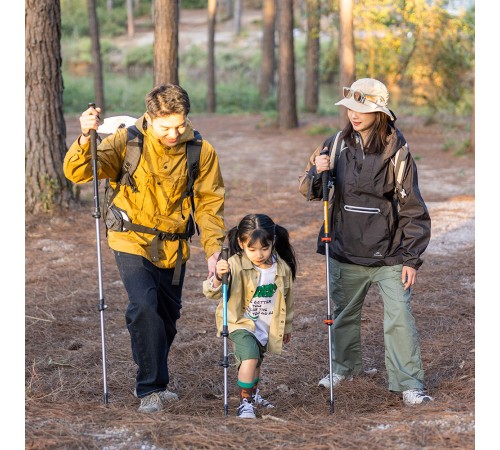 Палка Треккинговая Naturehike ST01 6061 AL NH17D001-Z  с 3 узлами женская 57-120 золотой