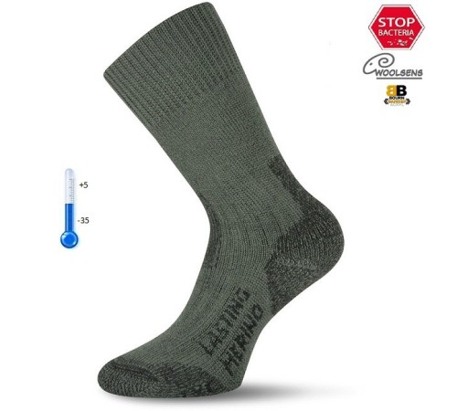 Носки Lasting TXC 620, wool+acryl, зеленый, размер XL, TXC620-XL