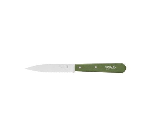 Нож столовый Opinel №113, деревянная рукоять, блистер, нержавеющая сталь, темно-зеленый 003122