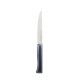 Нож столовый Opinel №220, пластиковая рукоять, нержавеющая сталь, 002220