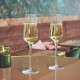 Бокалы для игристых вин Chef&Sommelier Symetrie 210 мл. / 2 шт. в п/у.