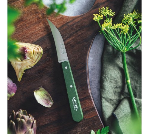 Нож столовый Opinel №114, деревянная рукоять, блистер, нержавеющая сталь, темно-зеленый 003130