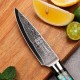 Нож из дамасской стали для овощей Keemake 3,5 Inch Paring Knife, разноцветный