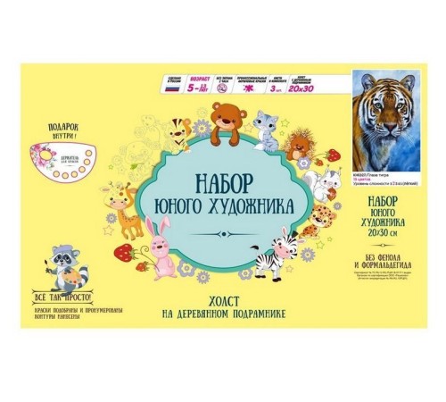 Набор юного художника 20х30 Глаза тигра (15 цветов)