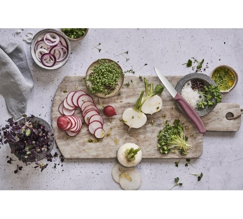Набор из 3 ножей для овощей и фруктов VICTORINOX Swiss Classic Fresh Energy, в картонном блистере