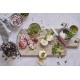 Набор из 3 ножей для овощей и фруктов VICTORINOX Swiss Classic Fresh Energy, в картонном блистере
