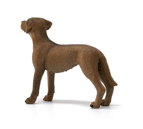 Фигурка Schleich Родезийский риджбек