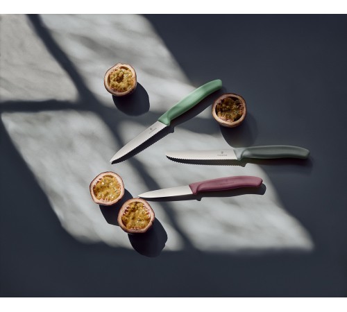 Набор из 3 ножей для овощей и фруктов VICTORINOX Swiss Classic Fresh Energy, в картонном блистере