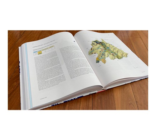 Книга Barollo Alessandro Masnaghetti vol.1, Third Edition