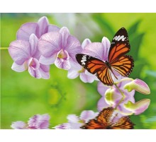 Алмазная мозаика 15х20 БАБОЧКА НА ВЕТКЕ (12 цветов)