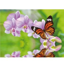Алмазная мозаика 15х20 БАБОЧКА НА ВЕТКЕ (12 цветов)