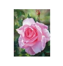 Алмазная мозаика 15х20 ЦВЕТОК РОЗЫ (11 цветов)