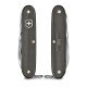 Pioneer X Alox LE 2022