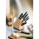 Набор из 9 столовых приборов VICTORINOX: 6 ножей, вилка д/мяса, ножницы, мусат, в буковой подставке