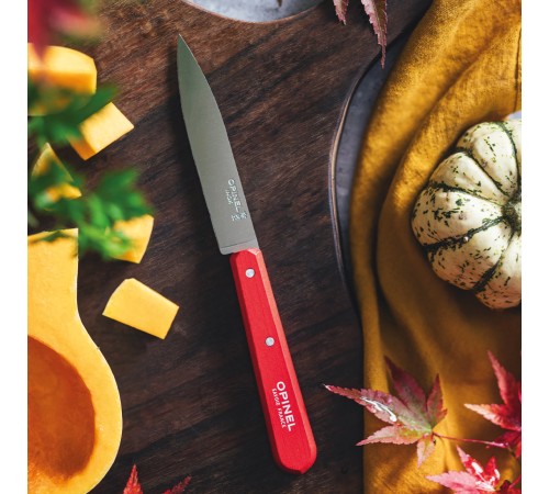 Нож столовый Opinel №112, деревянная рукоять, блистер, нержавеющая сталь, красный 003115