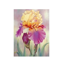 Алмазная мозаика 15х20 ИРИС (15 цветов)