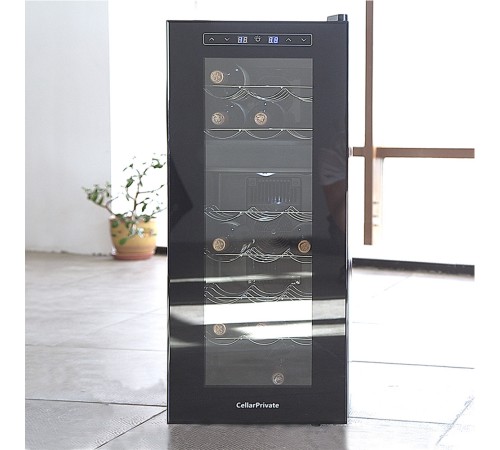 Винный шкаф двухзонный Cellar Private CP021-2T