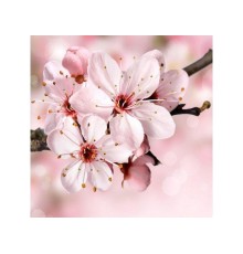 Картина мозаикой 30х30 ЯБЛОНЯ В ЦВЕТУ (квадрат) (20 цветов)