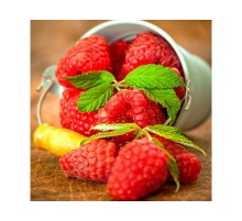 Картины мозаикой 30х30 ЯГОДА МАЛИНА (31 цвет)