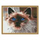 Алмазная мозаика с нанесенной рамкой 40х50 ДЫМЧАТЫЙ КОТ (21 цвет)