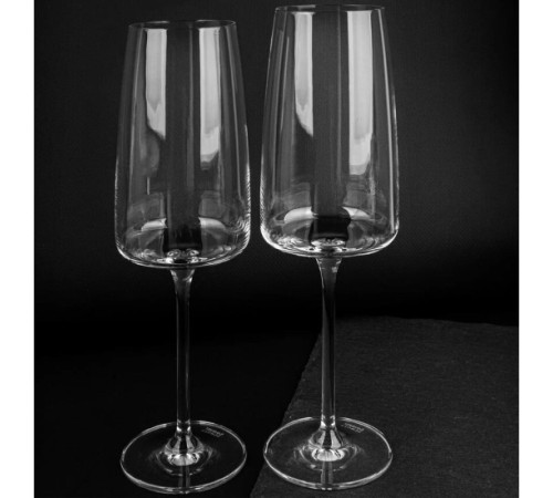 Бокал для шампанского Schott Zwiesel Sensa