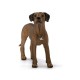 Фигурка Schleich Родезийский риджбек