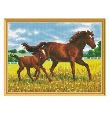 Алмазная мозаика с нанесенной рамкой 40х50 ПРОГУЛКА (28 цветов)