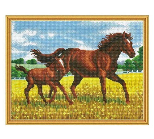 Алмазная мозаика с нанесенной рамкой 40х50 ПРОГУЛКА (28 цветов)