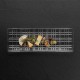 Блюдо прямоугольное Nachtmann SQUARE 42x15 см дымчатое