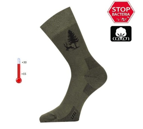 Носки Lasting  LFSL 620, cotton+polyamide, зеленый с рисунком, размер S, LFSL620-S