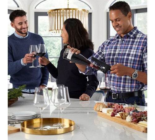 Система подачи и сохранения вина Coravin Pivot Pro
