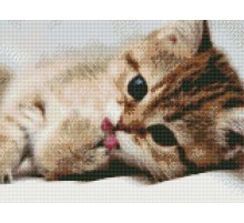Алмазная мозаика с нанесенной рамкой 40х50 ПОСЛЕ ОБЕДА (24 цвета)