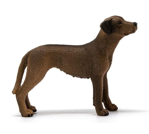 Фигурка Schleich Родезийский риджбек
