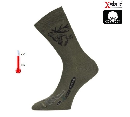 Носки Lasting  CXJ 620, cotton+polyamide, зеленый с рисунком, размер S , CXJ620-S