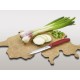 Набор VICTORINOX Swiss Map: нож для сыра и колбасы Swiss Classic 11 см + разделочная доска Epicurean