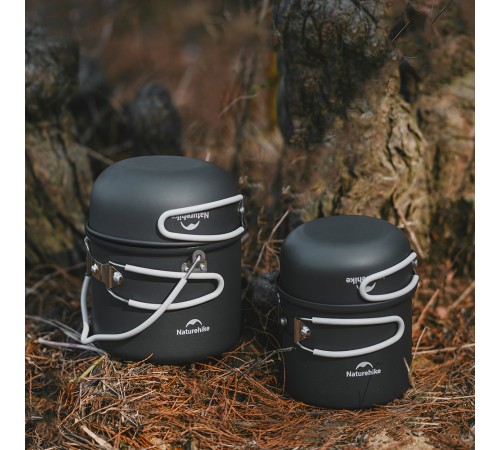Набор посуды Naturehike 4 в1 NH18T018-G, серый, 6927595785515