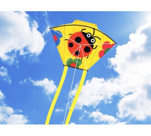 Воздушный змей «Божья коровка 45х33»